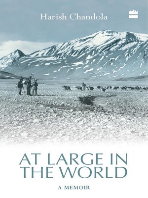 cover image of At Large in the World